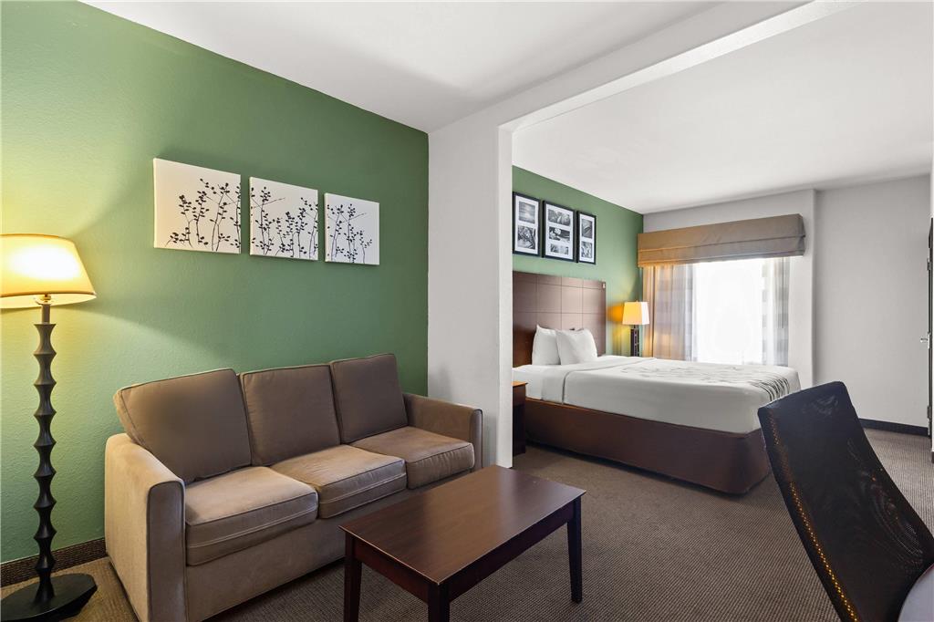 Sleep Inn & Suites Bush Intercontinental IAH East - photo 23