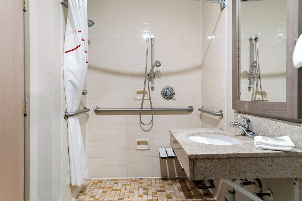 Red Roof Inn Auburn Hills - photo 35