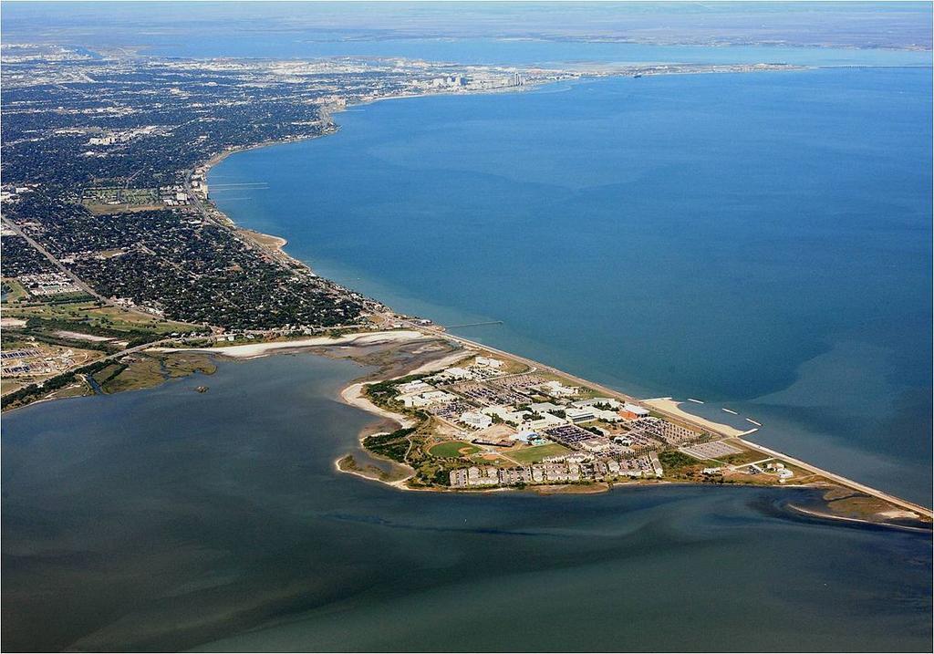 Super 8 Corpus Christi Bayfront Area - photo 6