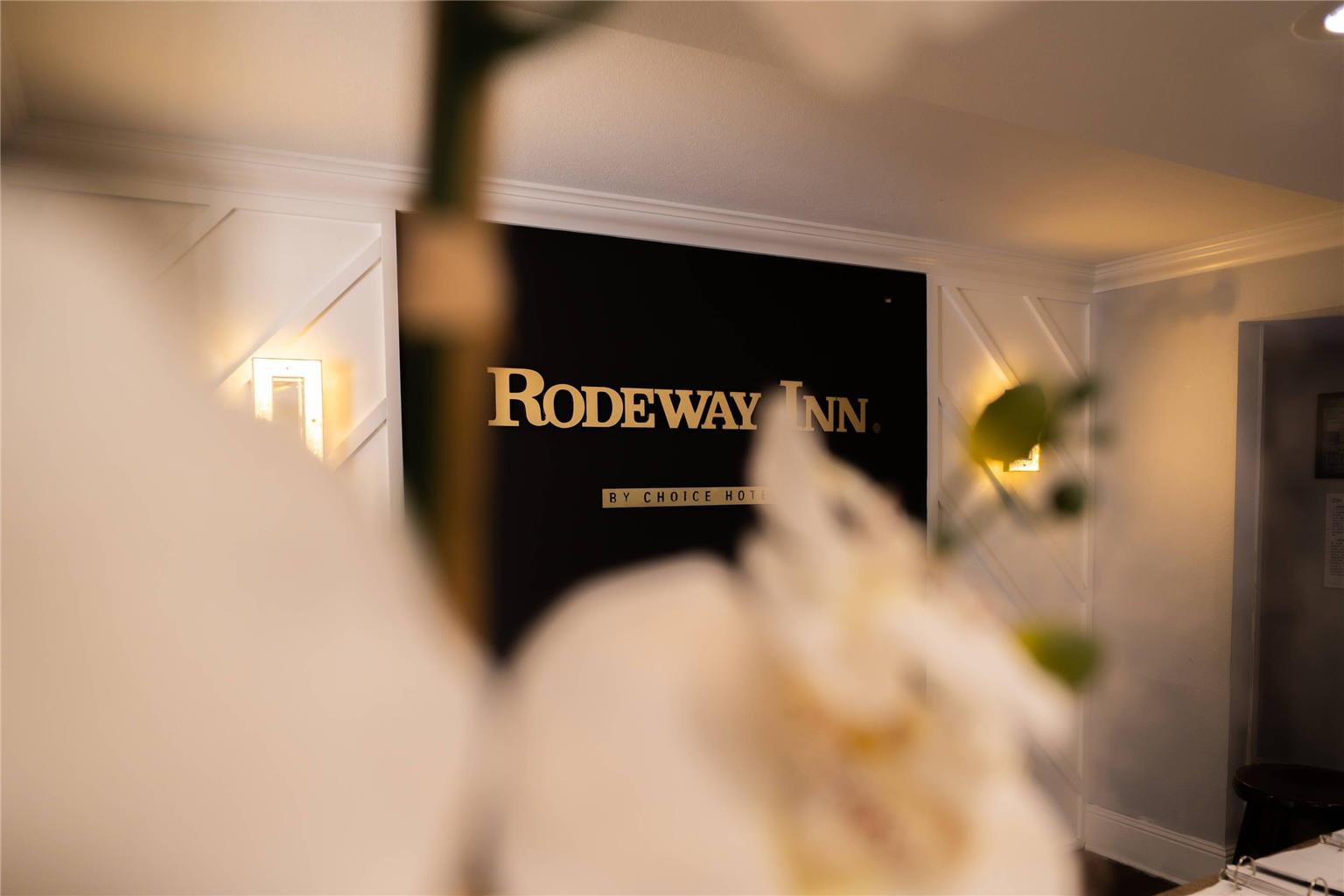 Rodeway Inn Near Ybor City Casino - photo 17