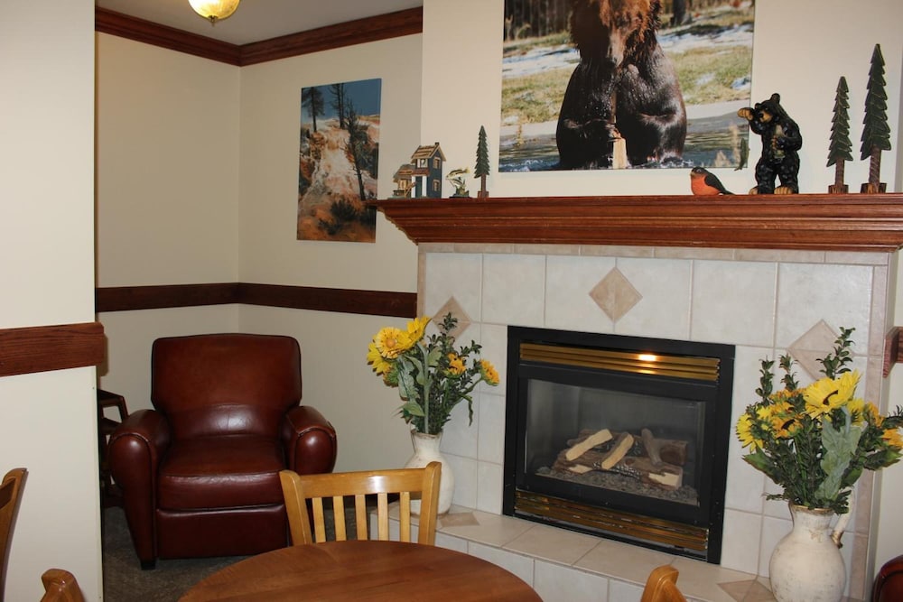 Yellowstone Lodge - photo 26
