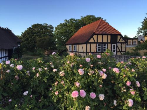 Millinge Gamle Skole in Unknown City, Denmark