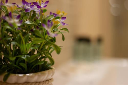 Suite Corallo Smart Holiday — 4-Star Luxury Hotel in Mantova, Italy