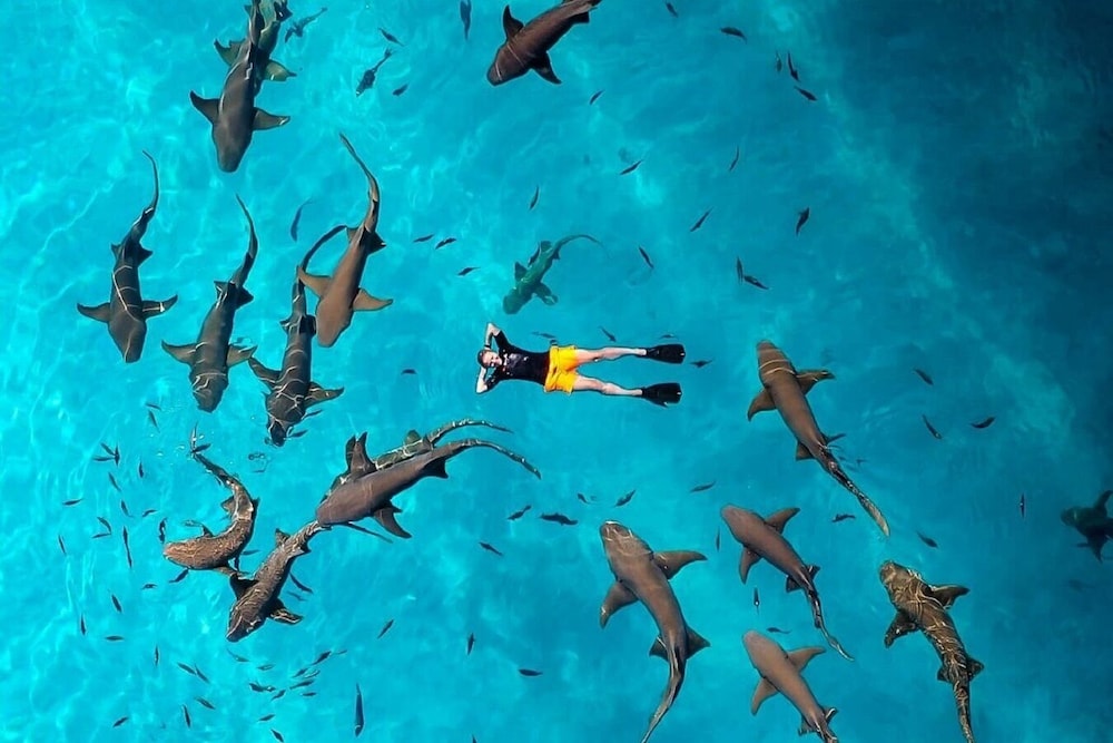 Crown Beach Hotel Maldives in Maafushi, Maldives