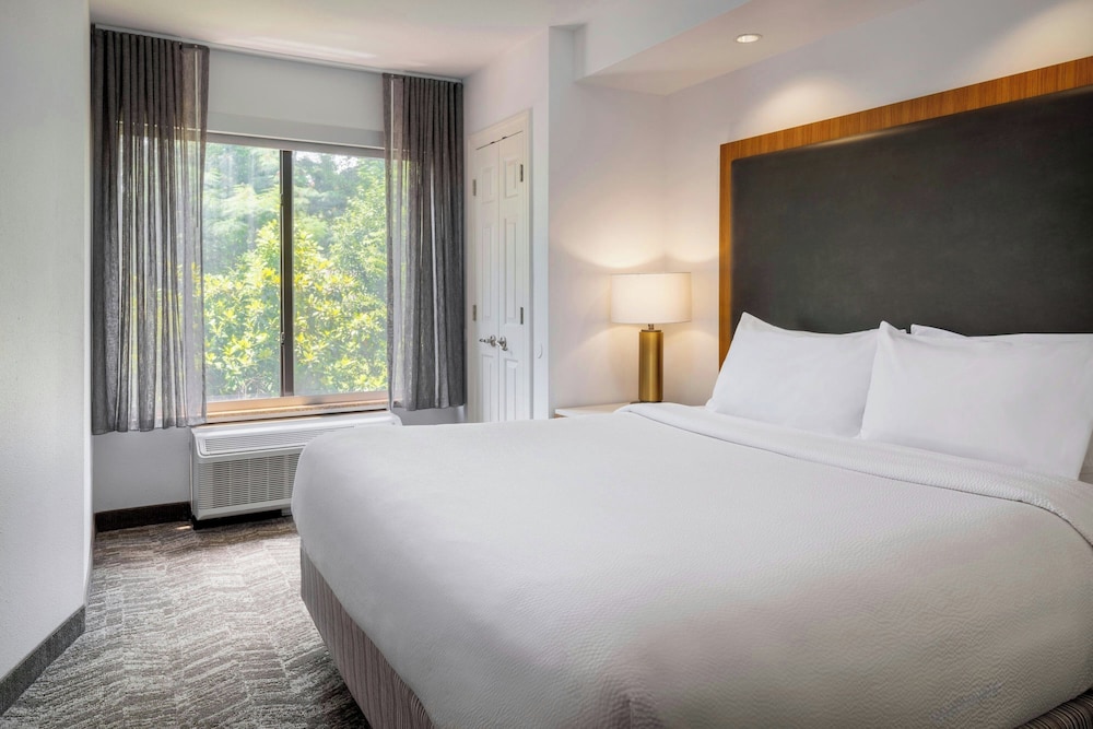 SpringHill Suites by Marriott Charleston N. Ashley Phosphate - photo 14