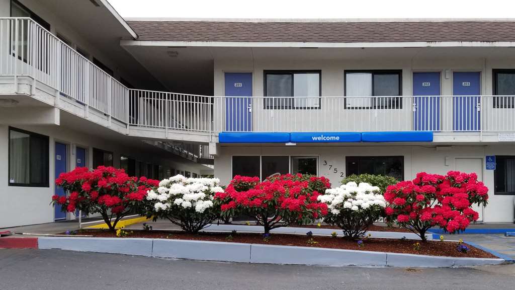 Motel 6 Springfield OR Eugene North - featured photo