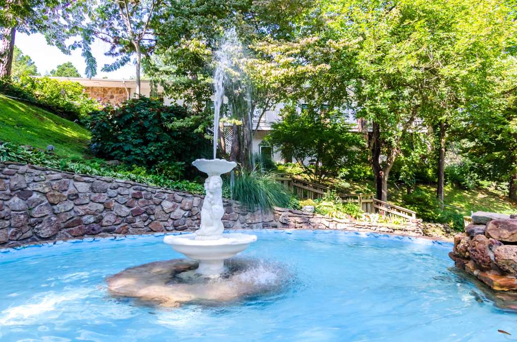 Quality Inn Eureka Springs South - photo 87