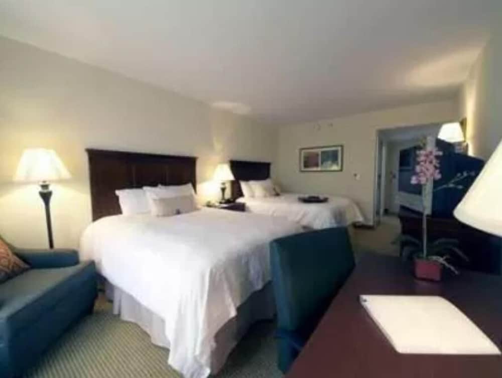 Hampton Inn and Suites Dobson - photo 3