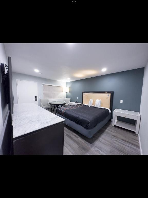 Courtesy Inn And Suites - photo 16
