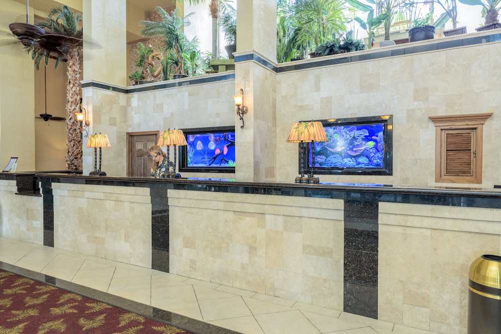 Isla Grand Beach Resort - photo 2