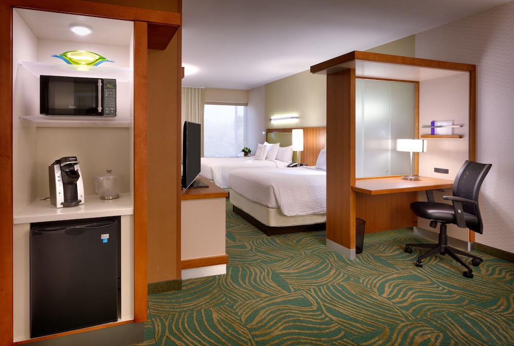 Springhill Suites Houston I 45 North - photo 23