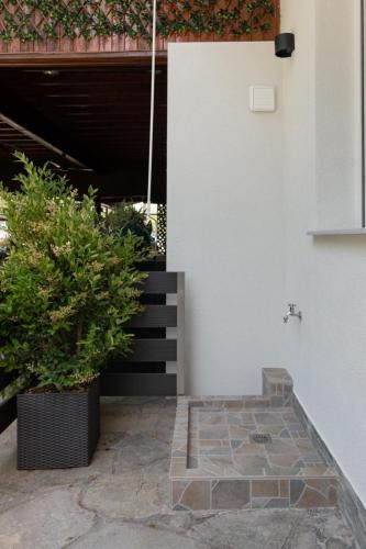 Evdokia Luxurious Living — Stavros — photo 5