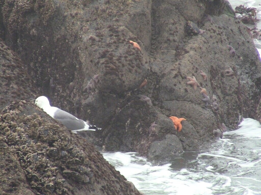 Admiral's Beach Retreat - photo 24