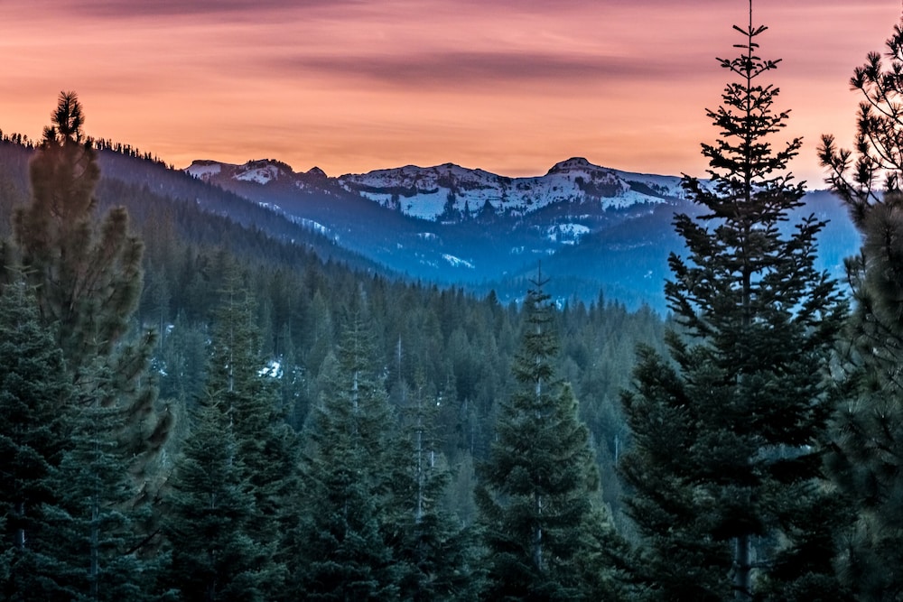 Skislope Sanctuary - photo 7