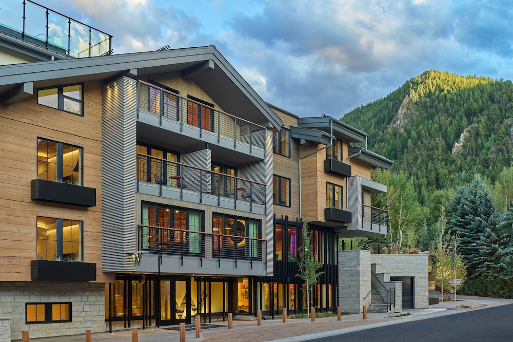 The Sky Residences at W Aspen - photo 49