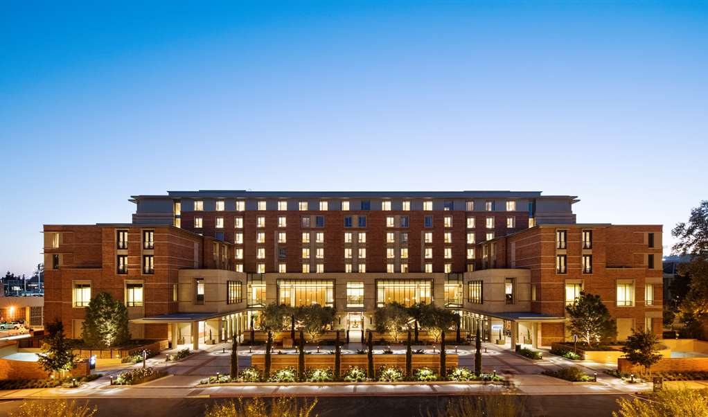 Luskin Hotel - photo 7