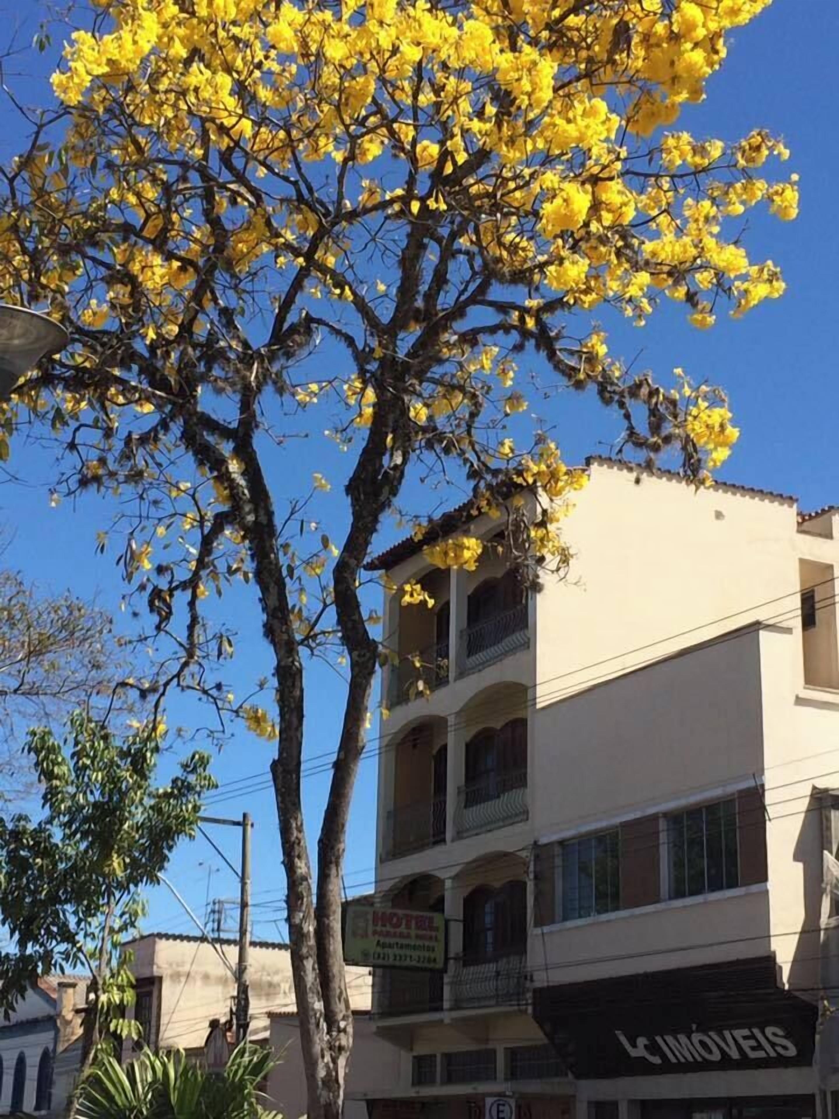 Hotel Parada Real — Sao Joao Del Rei