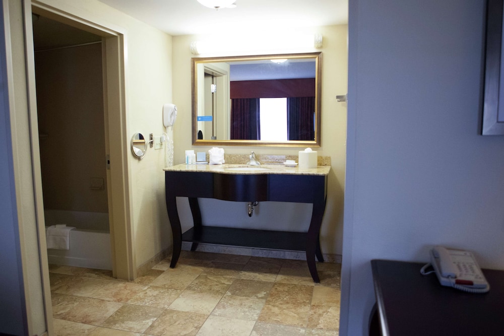 Hampton Inn Rochester Webster - photo 24
