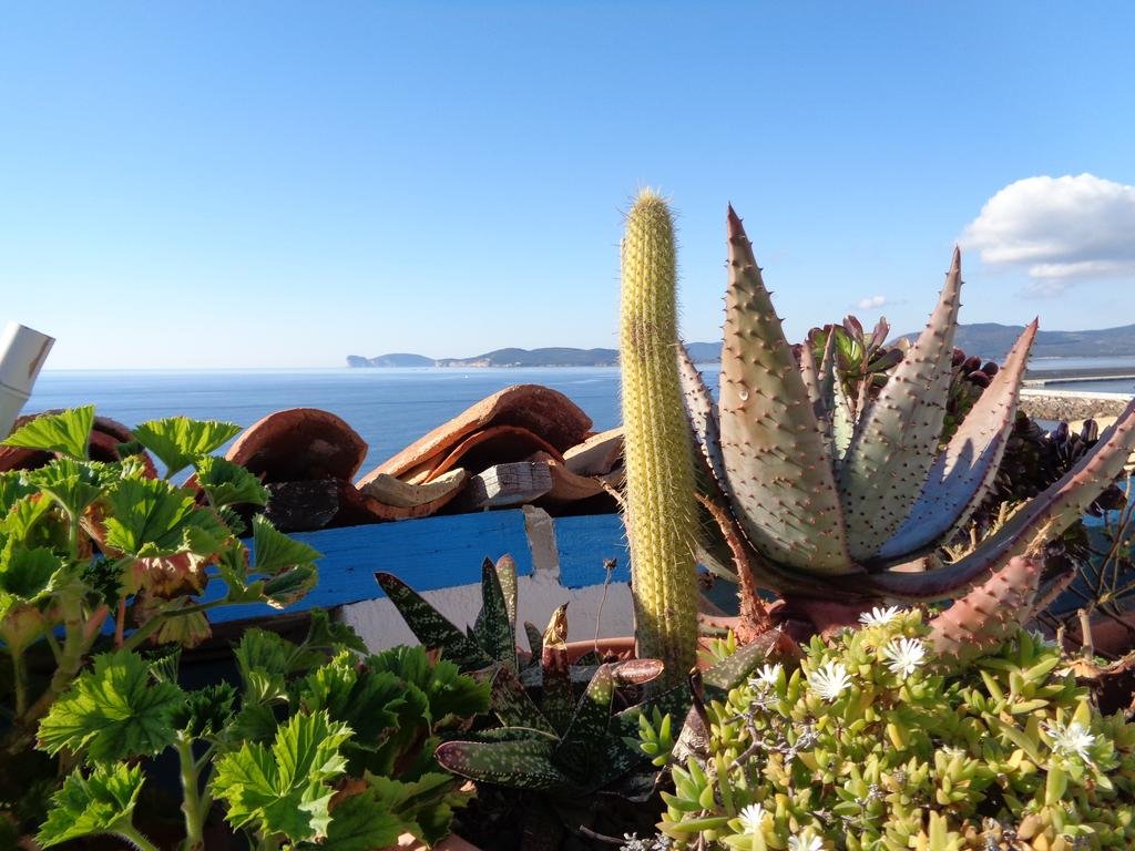 La Posada Sul Golfo 11221542 — Alghero