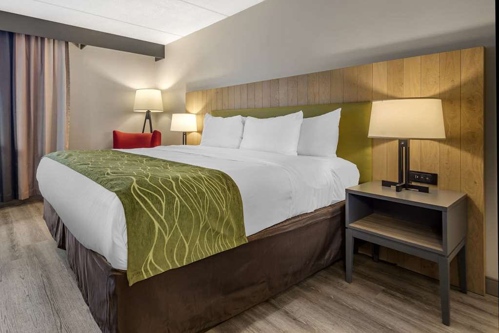 Comfort Inn & Suites Liverpool Syracuse North - photo 8