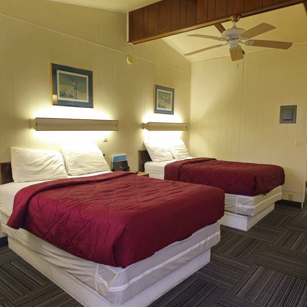 Home Motel Abbotsford - photo 20