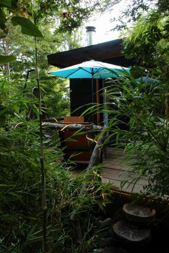 Refugios de bosque en Coñaripe — Panguipulli — photo 2