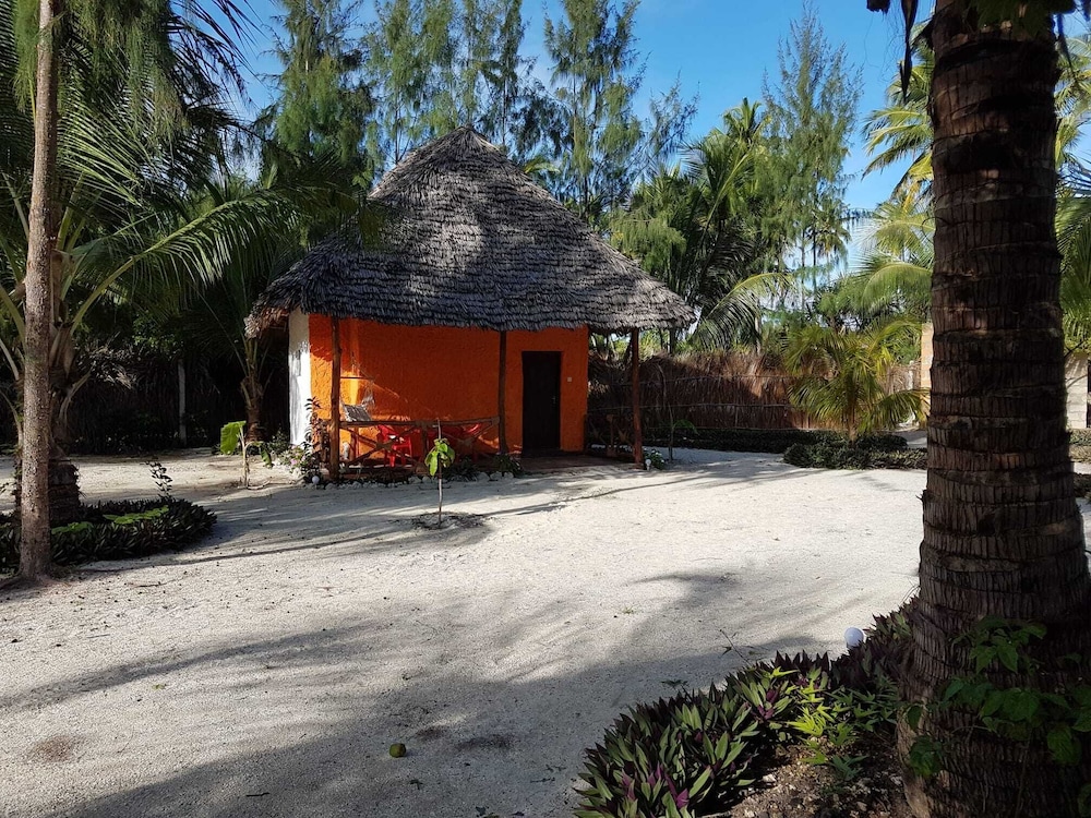 Dreams of Mapacha in Unknown City, Tanzania