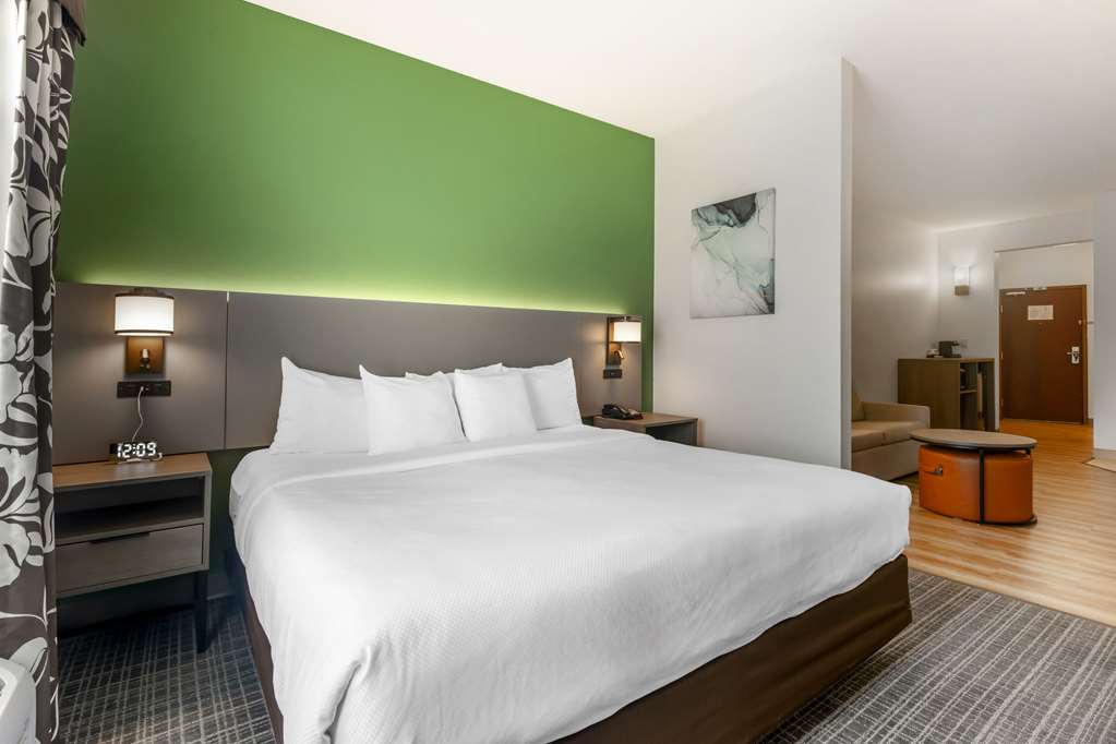Comfort Suites Conference Center Rapid City - photo 16