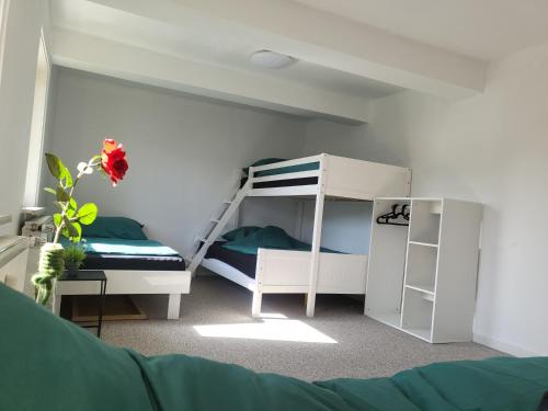 Sunny Rooms in Sehnde, Germany