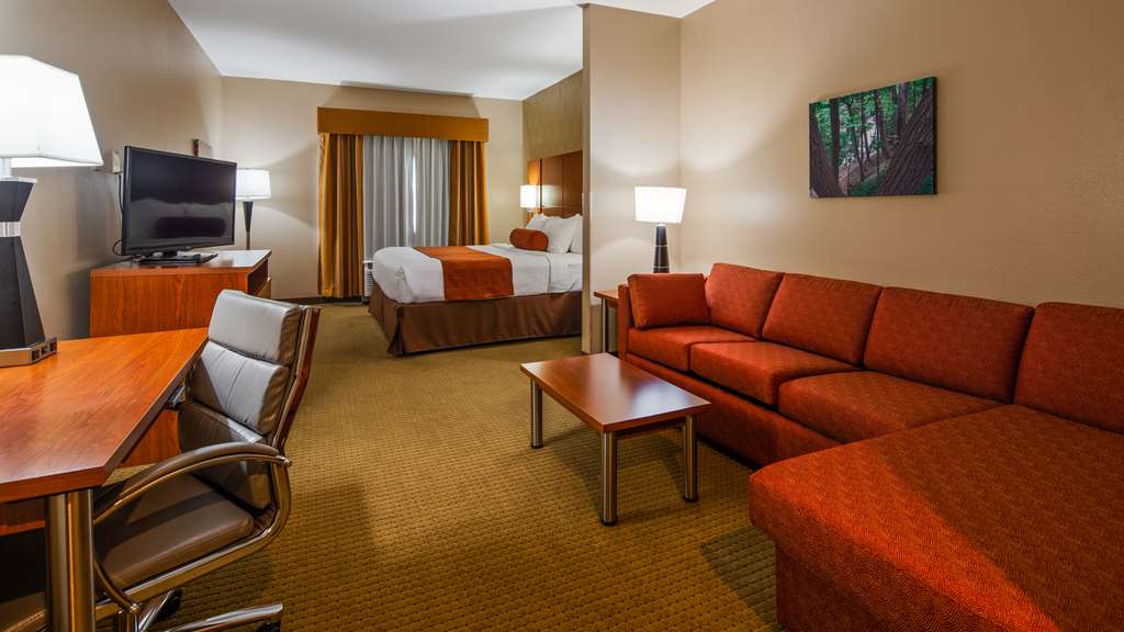 Best Western Plus Finger Lakes Inn & Suites - photo 13