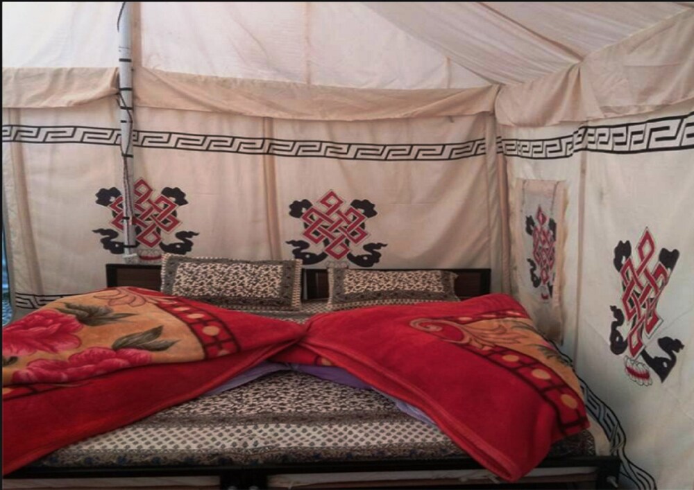 TIH Himalayan Shakia Camp Jispa — Kyelang — photo 5