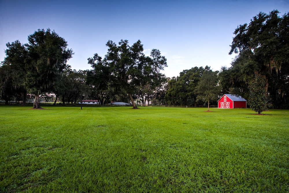 Hilton Ocala - photo 61