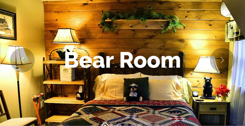 Bear Lodges & 131 Main Street - photo 13