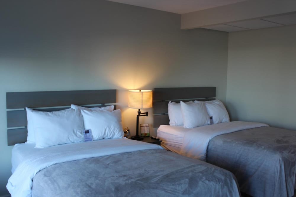 Brio Beach Inn - photo 15