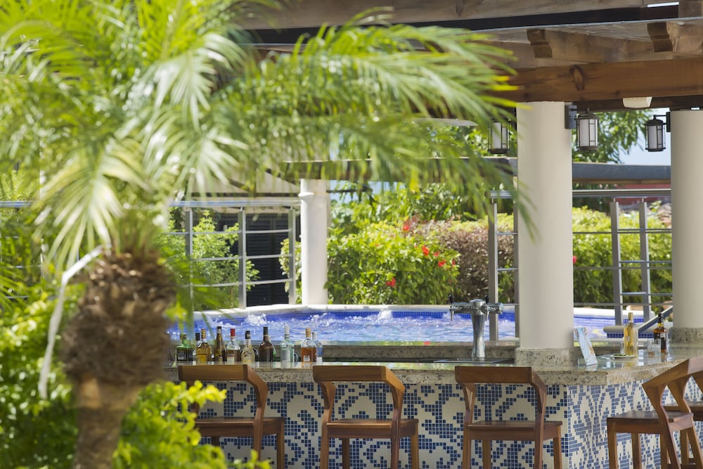 Swim-up bar
