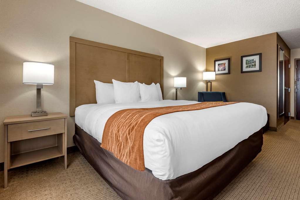 Comfort Inn & Suites Farmington Victor - photo 7