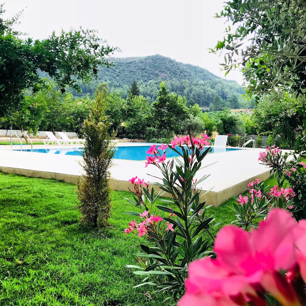 Olive Garden Pansiyon in Kumluca, Turkey