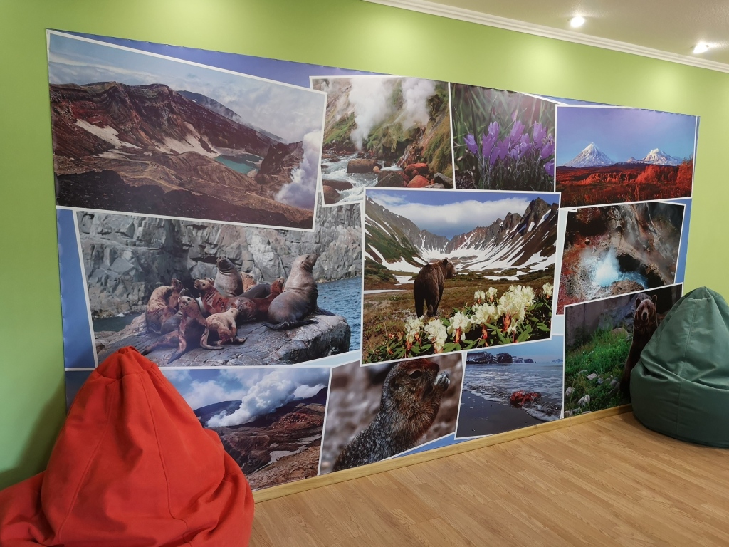 Shade in Petropavlovsk-Kamchatsky, Russia