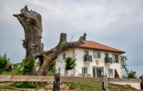 Pepiño de Tomonte - last minute hotel in Unknown City