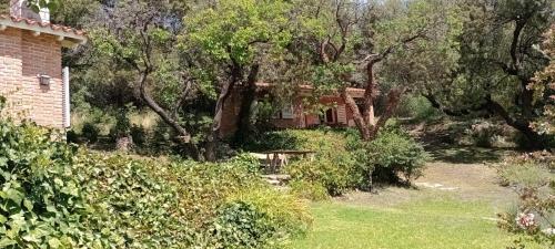 Faraway’s Bed & Breakfast — Los Cocos — photo 3