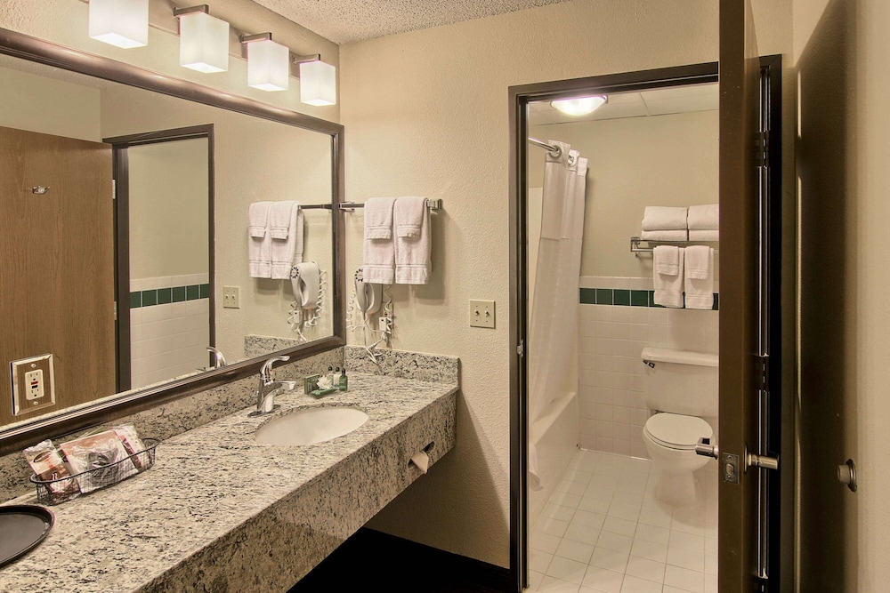 Blossom Hotel & Suites Traverse City - photo 34