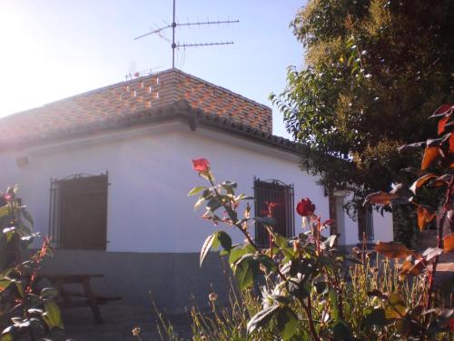 Casa Los Olivos — Gravalos — photo 2