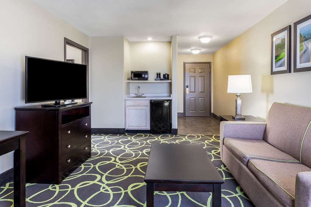 La Quinta Inn & Suites by Wyndham New Braunfels - photo 40