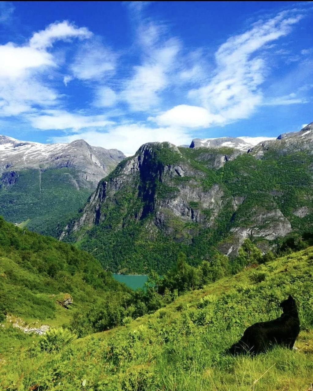 Olden Camping — Stryn — photo 4
