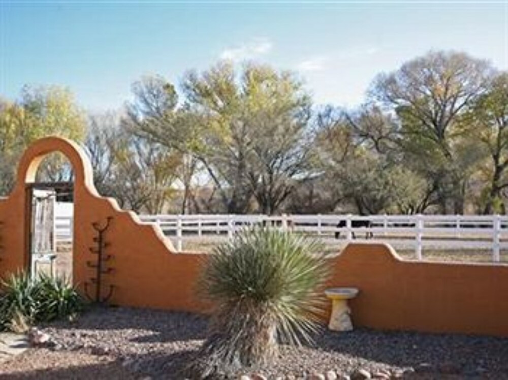 Lazy Dog Ranch - photo 23