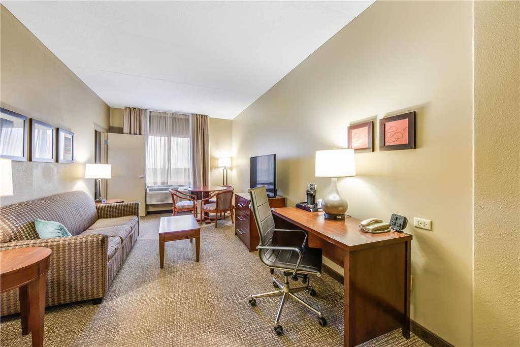 Comfort Suites Chicago O'Hare Airport - photo 28