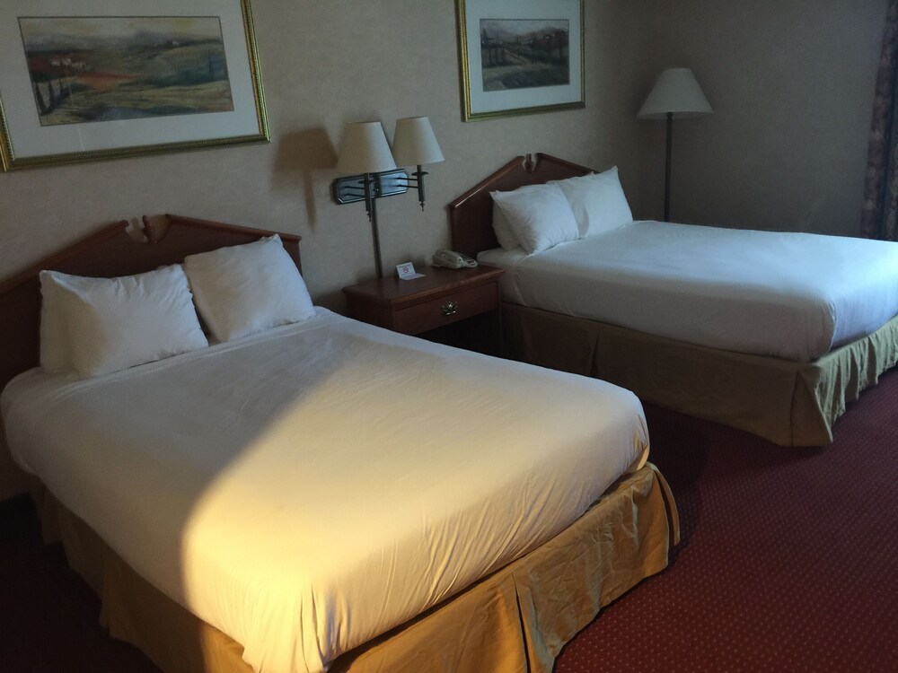Texas Hill Country Hotel By Holiday Creek - photo 12