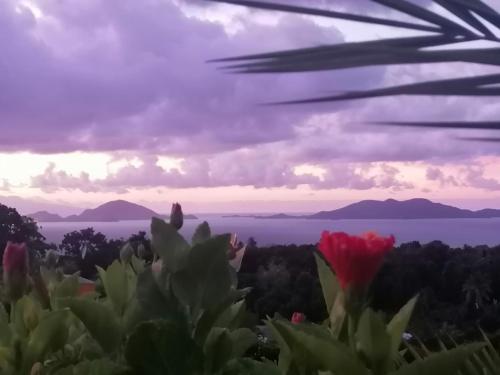 Le Bananier Rouge in Trois-Rivieres, Guadeloupe