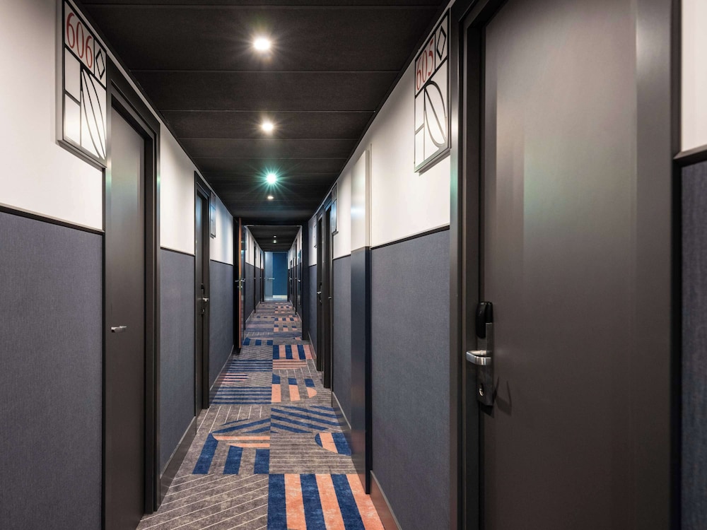 מראה חיצוני