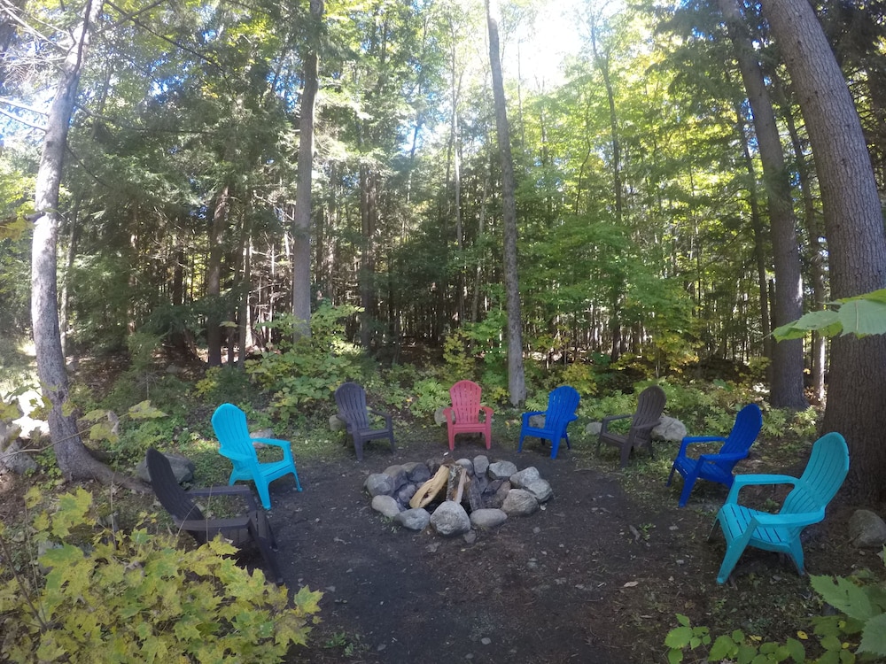 Forest Hill Lodge & Cabins - photo 36